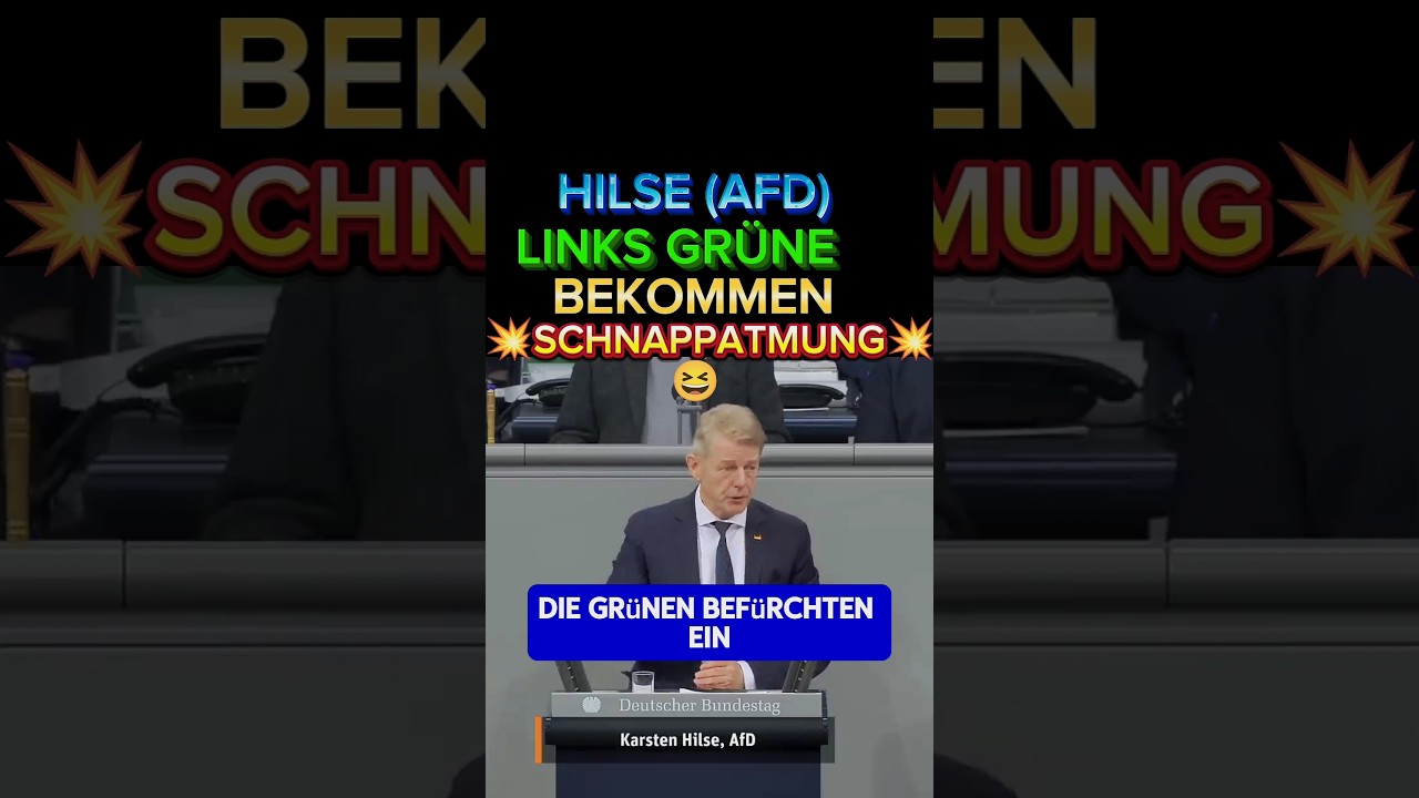 💥AFDler zerst&ouml;rt GR&Uuml;NES WELTBILD⚡ #afd #2026 #hilse #weidel #gr&uuml;ne #aliceweidel #cdu #merz #spd