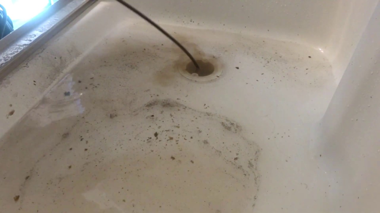 shower drain backing up water