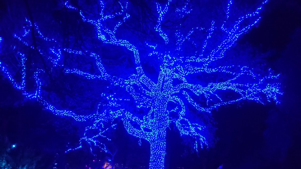 Missouri Botanical Gardens ... Garden Glow