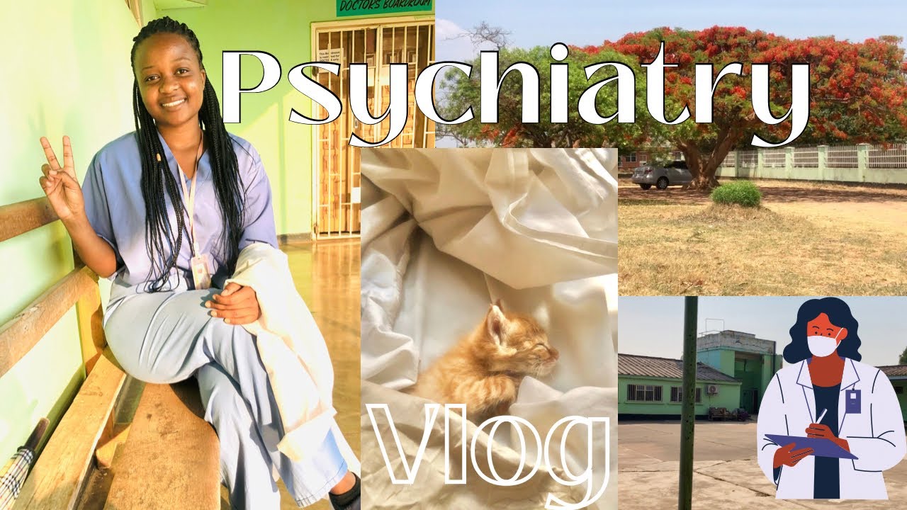 Psychiatry vlog| exam prep, allnighters, life as a cat mom