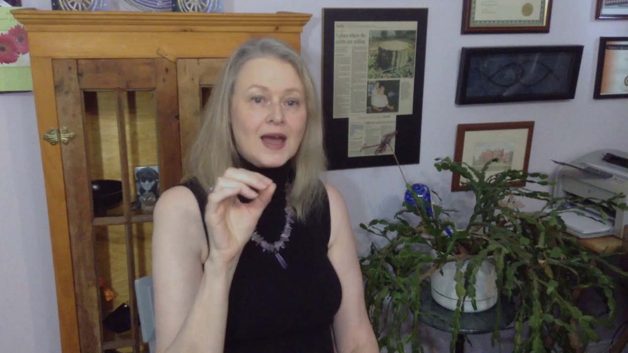 How To Recognize Your Spirit Guides I Psychic Medium Carolyn Molnar