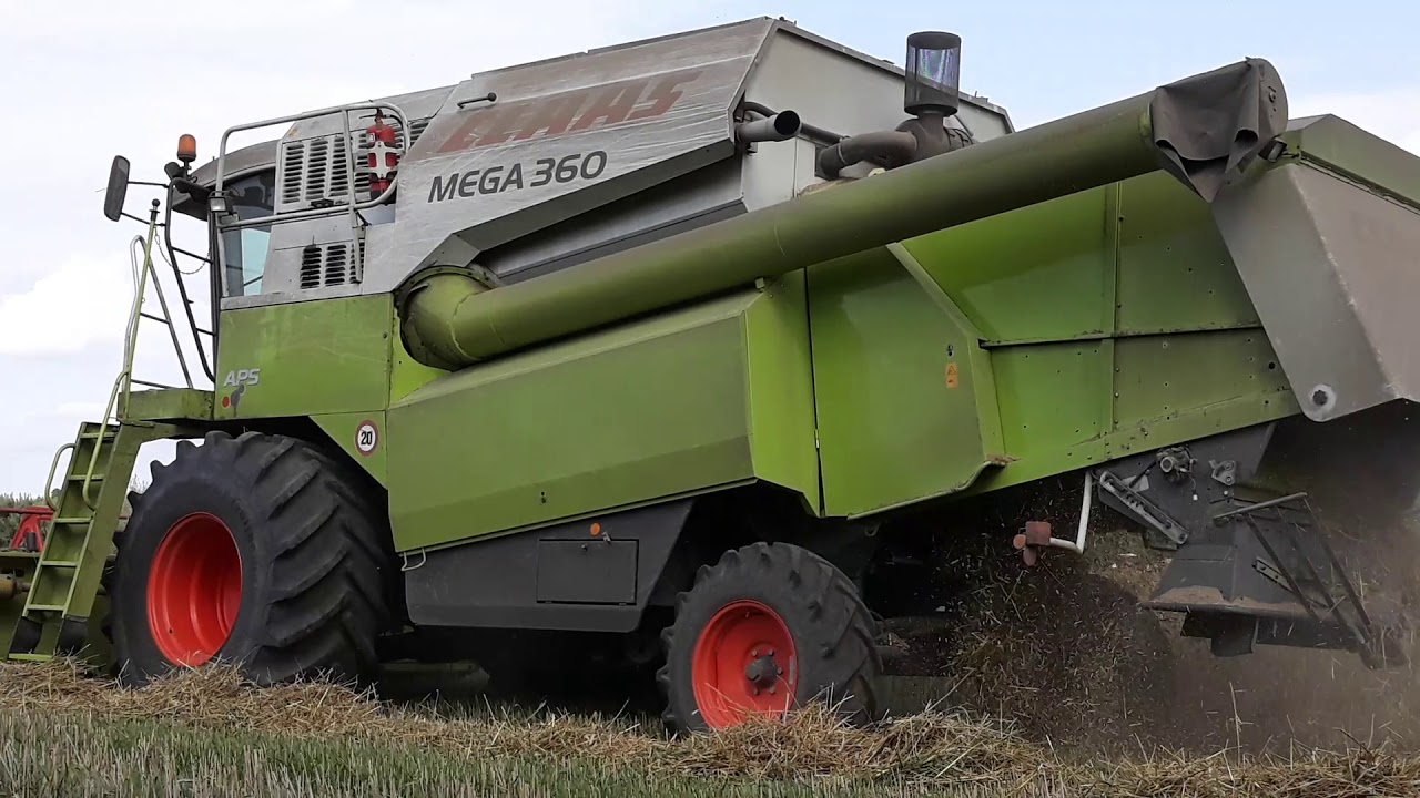 Claas Mega 360 szybka akcja pszenżyto 2019