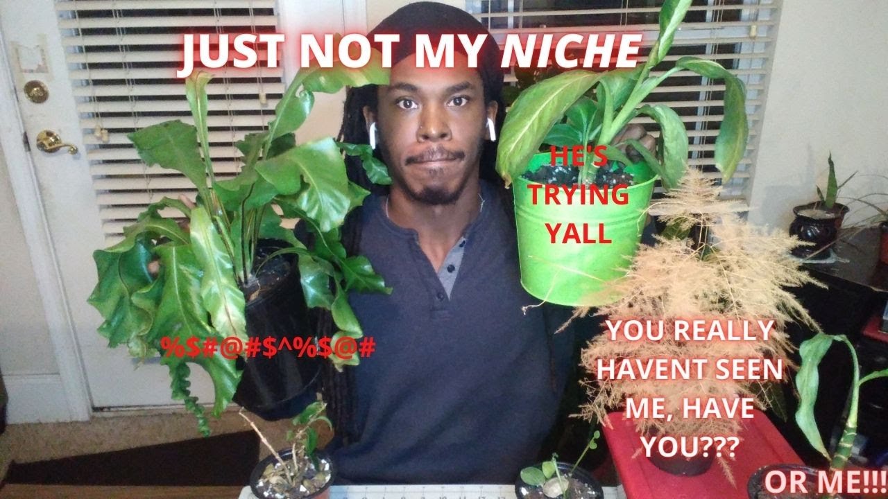 PLANTS THAT ARE JUST NOT MY NICHE