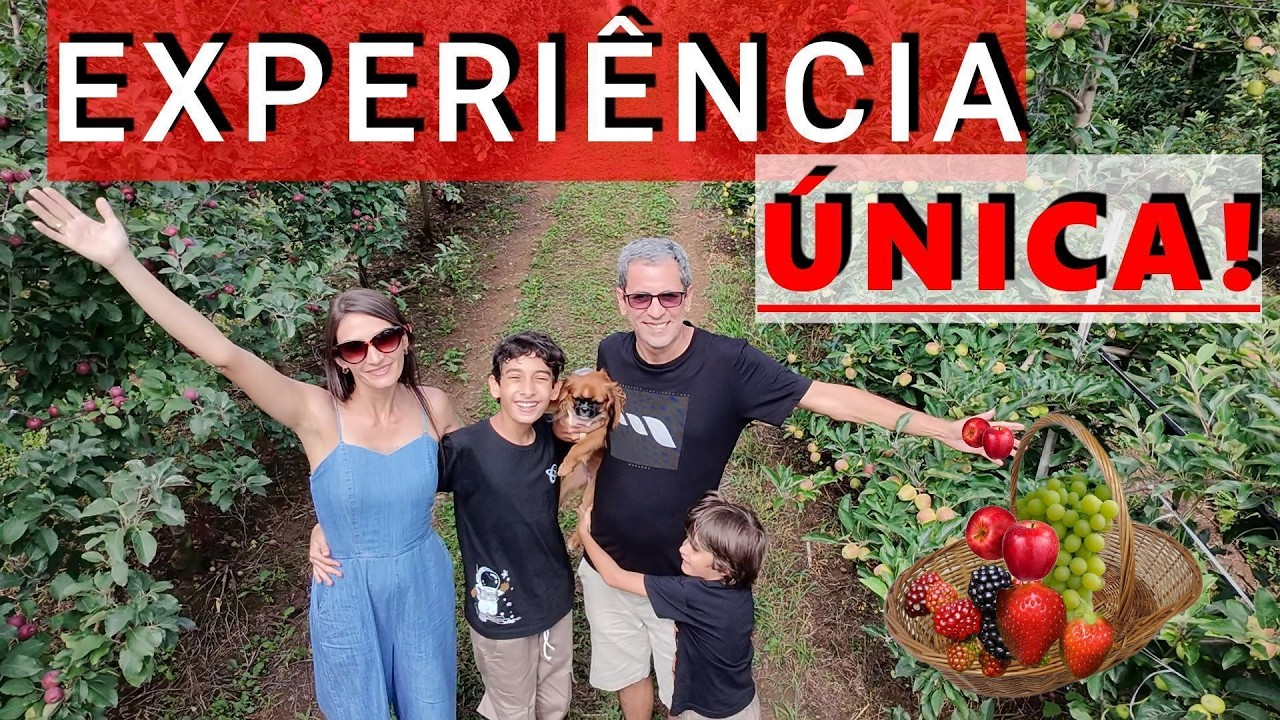 Colhe e Pague em Fraiburgo🍎 | Vivendo a Experiência na Terra da Maçã – Sítio Viva Bem🍎