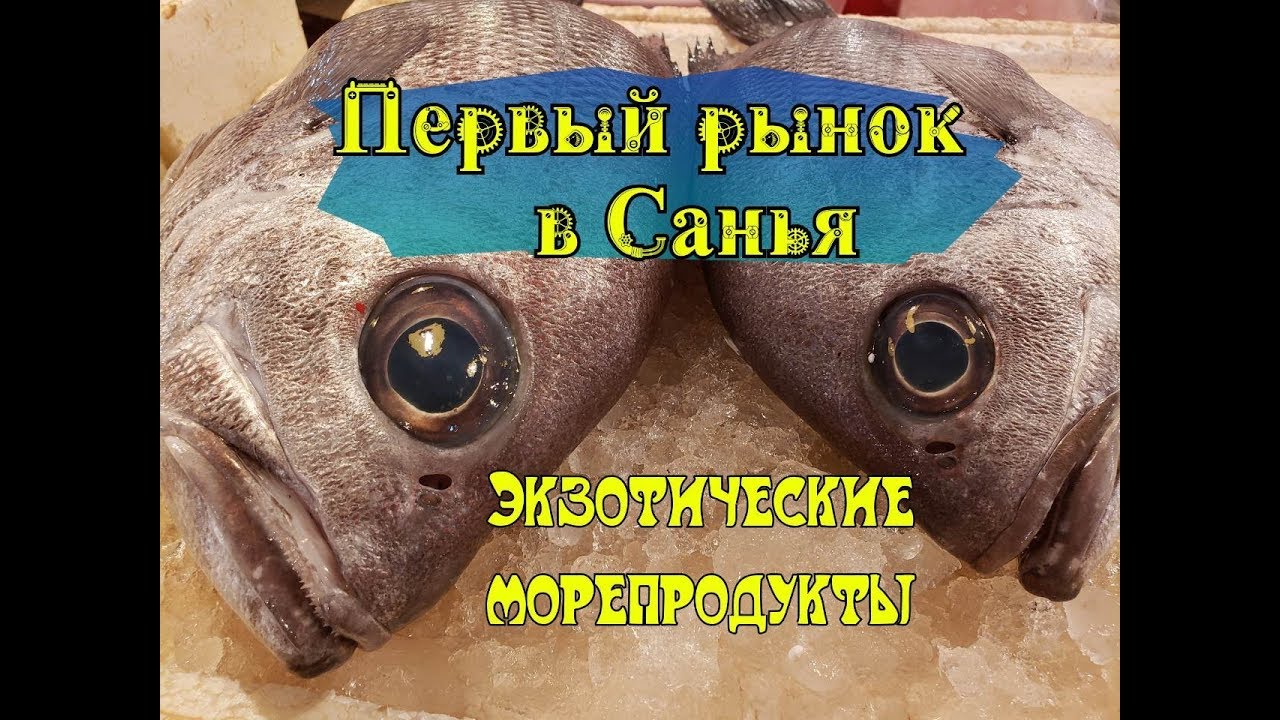 Рыбный рынок - Первый ночной рынок на о. Хайнань г. Санья. Exotic food. Экзотическая рыба