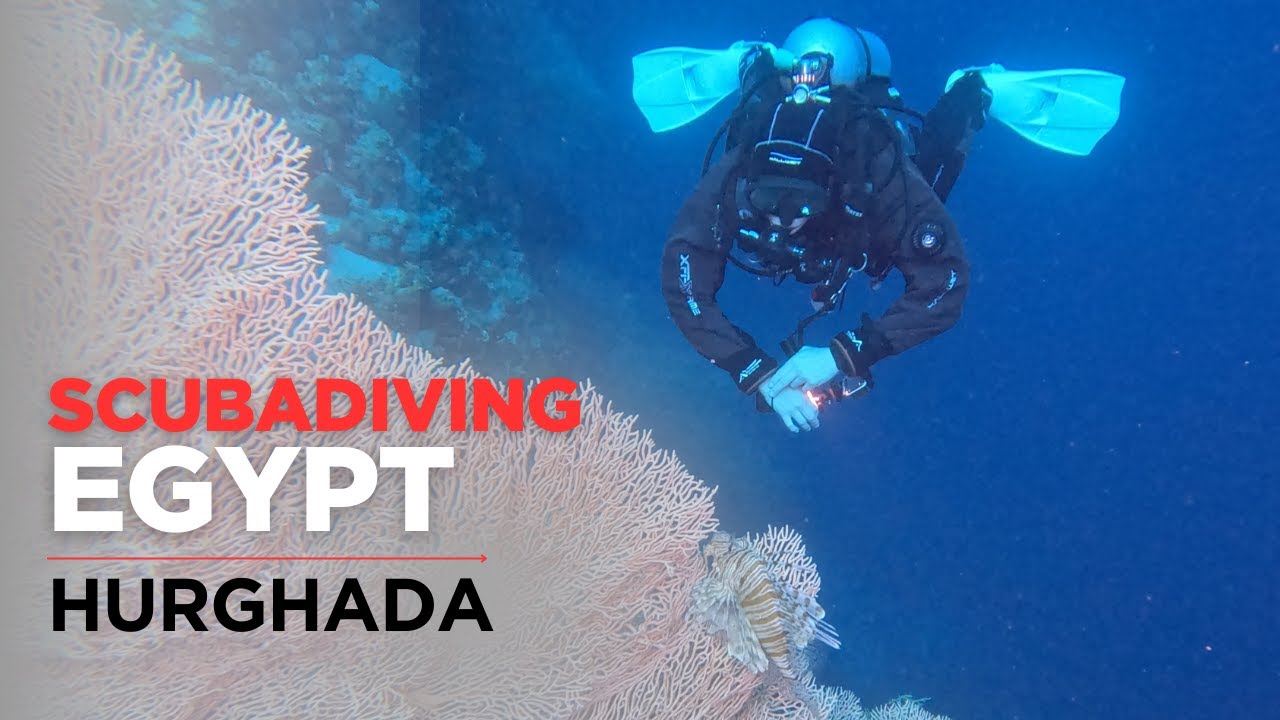 Scubadiving Egypt: Hurghada 2025 - Part 1 - Local Dive Spots (English subtitled)