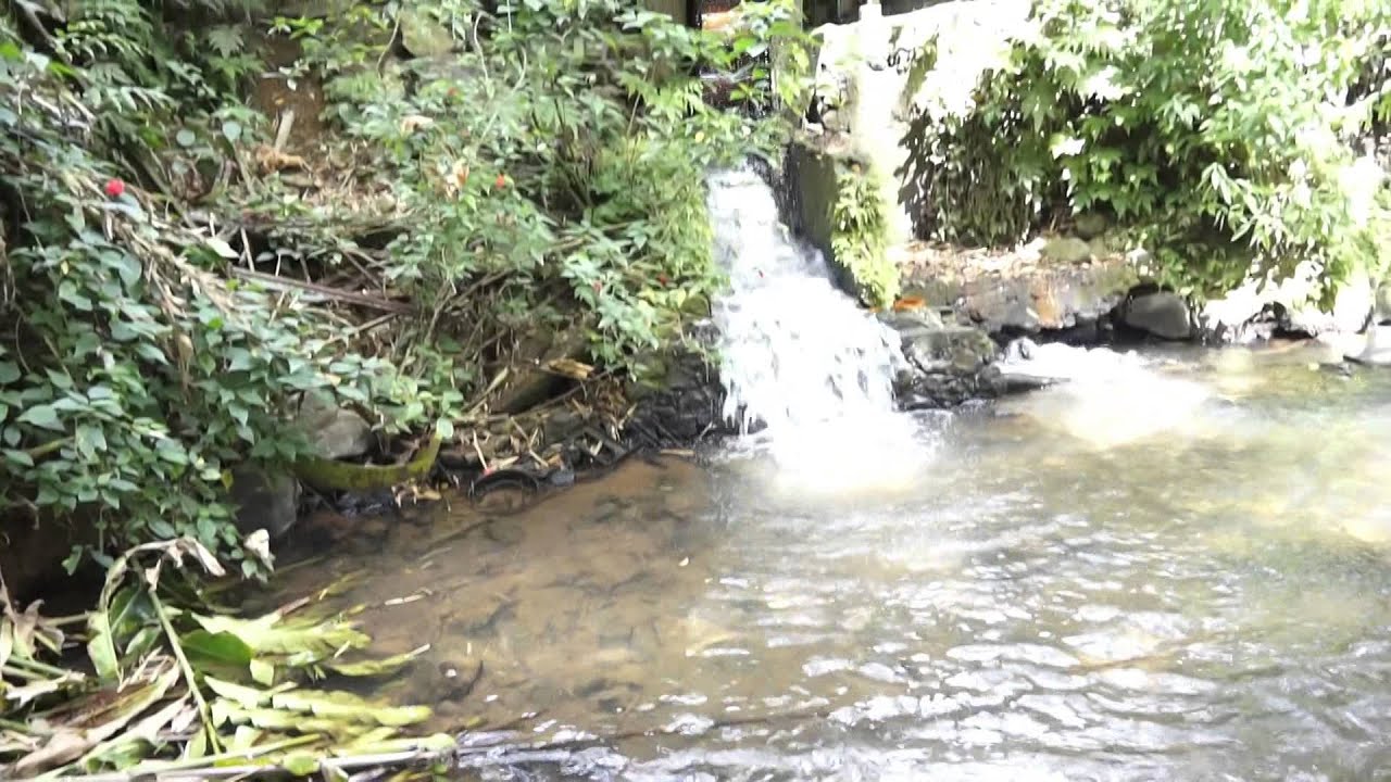 LE MOULIN HYDRO ELECTRIQUE DE RIVIERE LEZARDE AU GROS MORNE