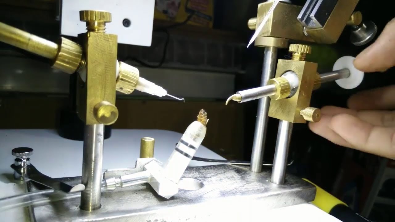 Insemination process for queen honey bees