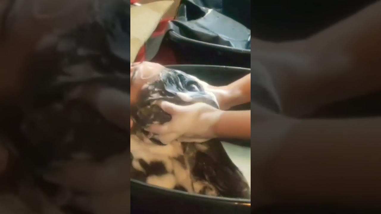 #64 #4 HAIR WASH HEAD MASSAGE 