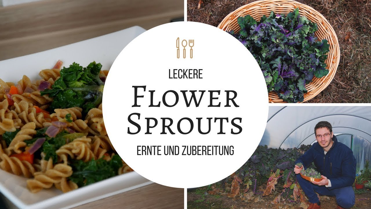Garten VLOG | Flower Sprouts - Ernten und zubereiten Inkl. Rezept