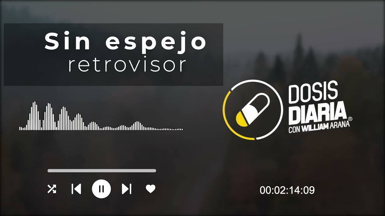 Dosis Diaria Roka - Sin espejo retrovisor