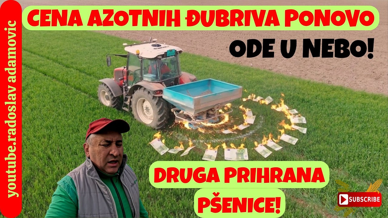 CENA AZOTNIH ĐUBRIVA PONOVO ODE U NEBO: DRUGA PRIHRANA P&Scaron;ENICE SA PRESKUPIM AZOTOM!!!