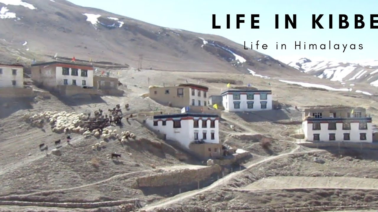 Lifestyle in Himalayan village | chicham, kibber #HimachalPradesh #Travel #Mountains #Culture #viral