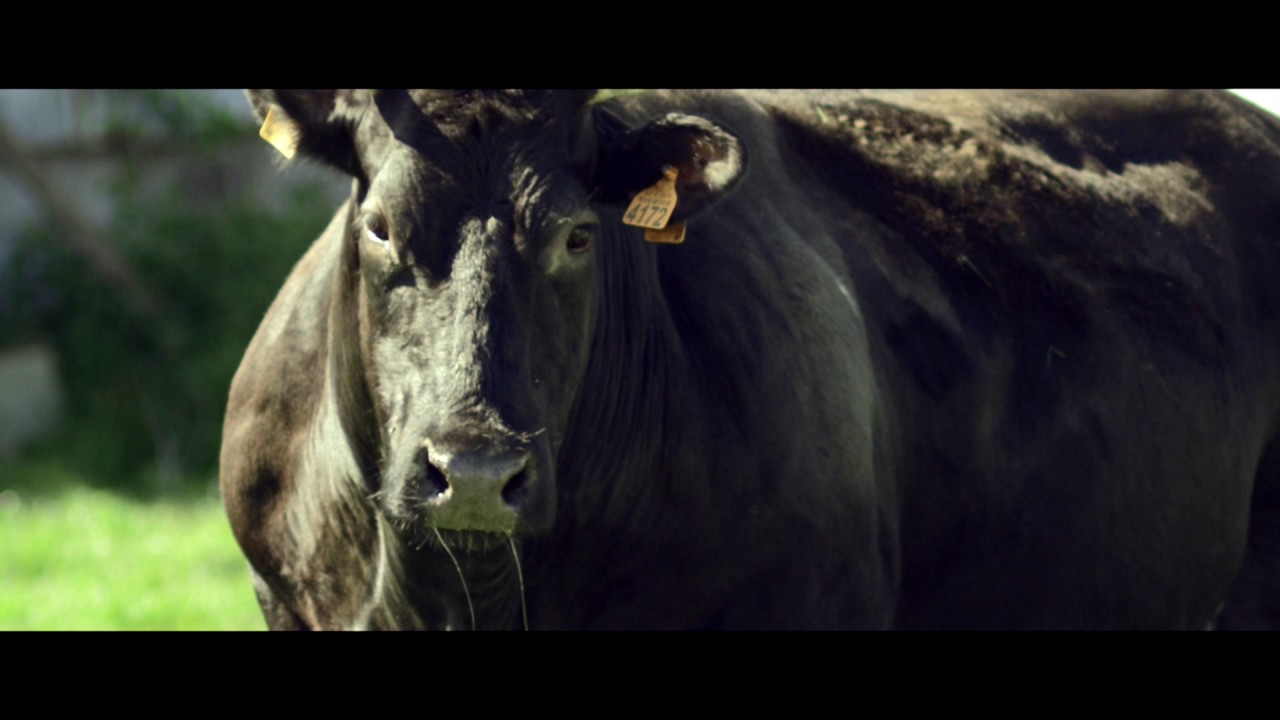 EU Green Week 2016 - Countryside