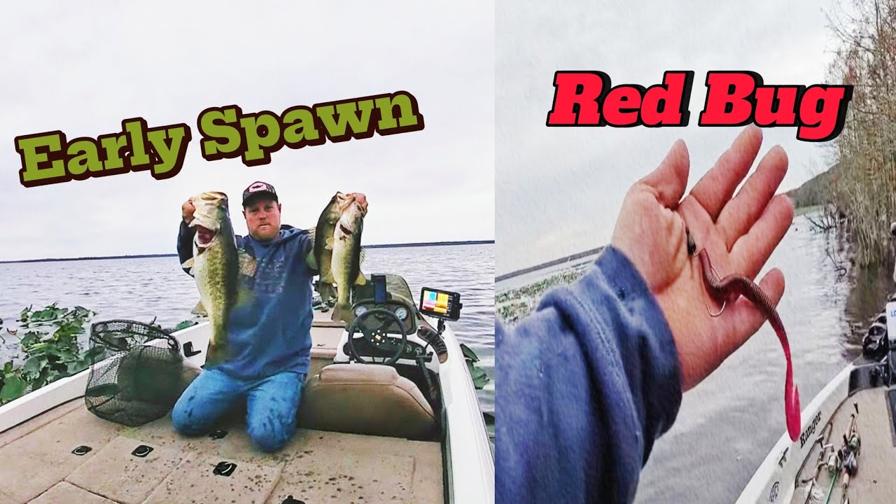 Orange Lake Spawners on Red Bug!!!