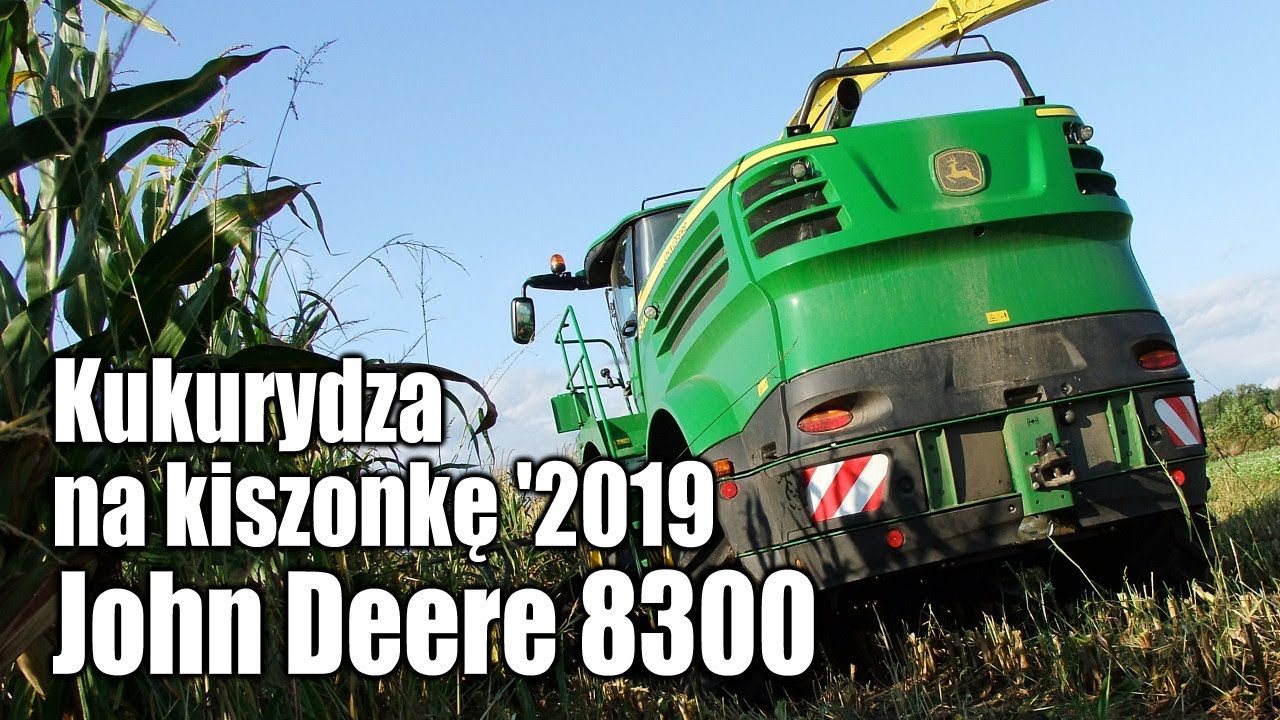 Kukurydza na kiszonkę z sieczkarnią John Deere 8300