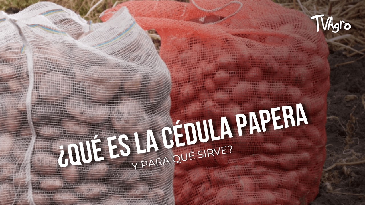 ¿Qué es la cédula papera y para qué sirve? - TvAgro por Juan Gonzalo Angel
