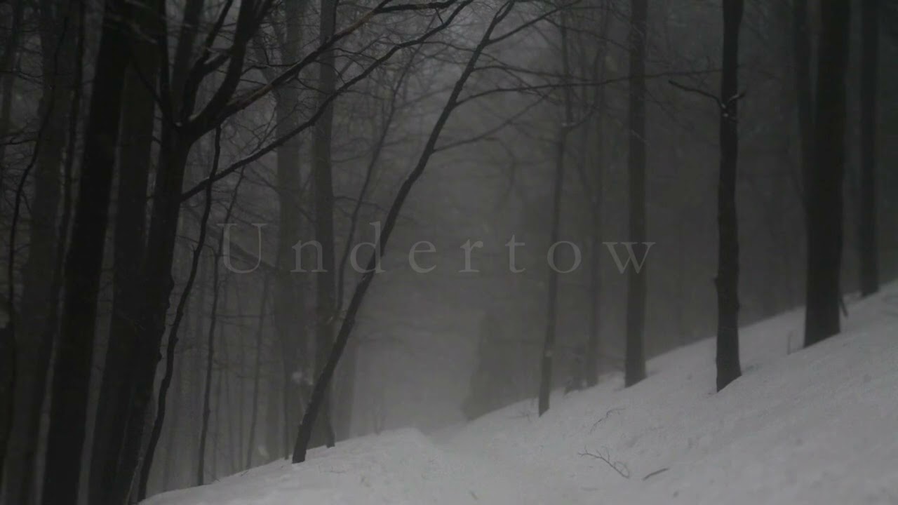 undertow by scott buckley and it's R A I N I N G {1 Hour} study, relax, sleep to rain sounds