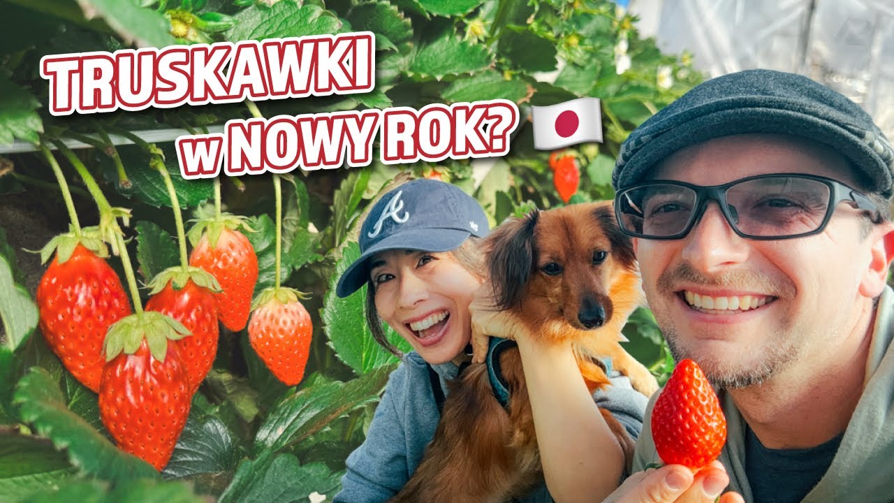 Nowy Rok u rodziców Aiko i postanowienia noworoczne