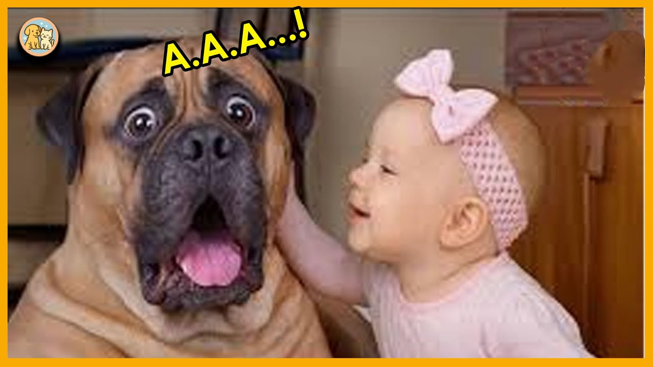 The adorable dog and the baby had an interesting secret conversation 🐶