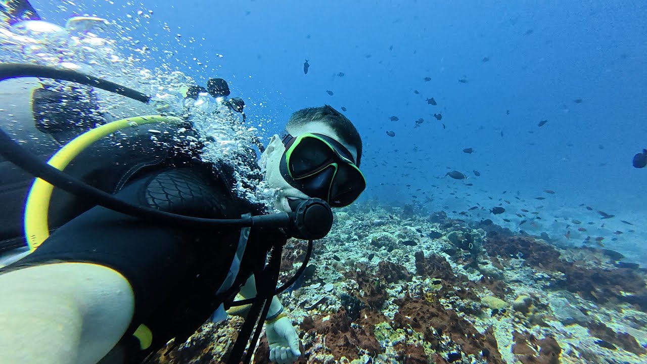 [Indonezja] rekina widziałem… nurkuje przy Gili obok Lombok w indonezji