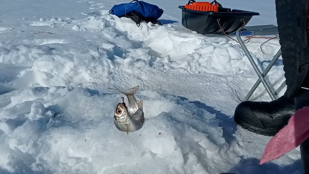 На рыбалке 19.02.26г