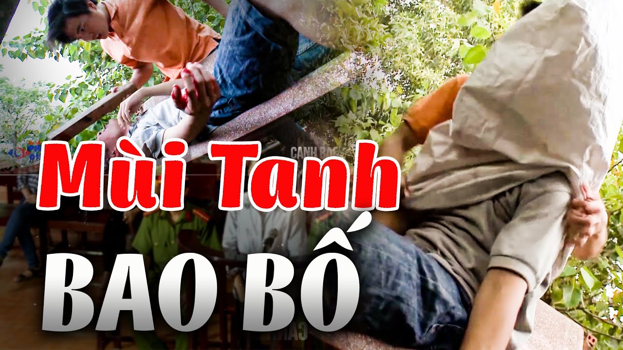 MÙI TANH BAO BỐ | Truy Tìm Bằng Chứng 2024 | Ký Sự Pháp Đình THVL | Chuyện Cảnh Giác Mới 2024 THVL