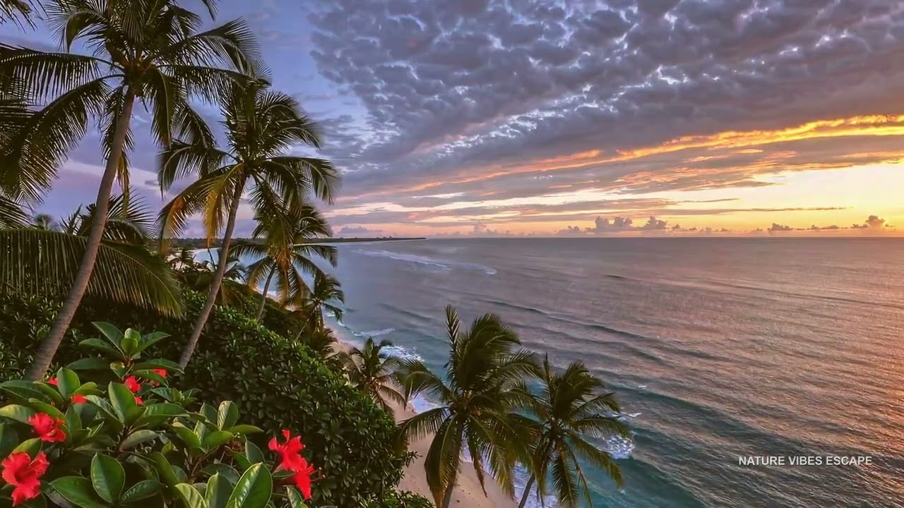 FOCUS 🌴 Ohahu Hawaii inspired Sunset Ocean Sounds | Sleep Study | 4K 🌊