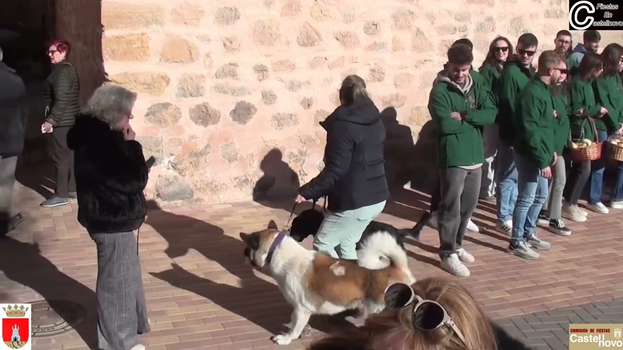 2025  10  LA BENDICION SAN ANTON CASTELLNOVO 12 01 2025