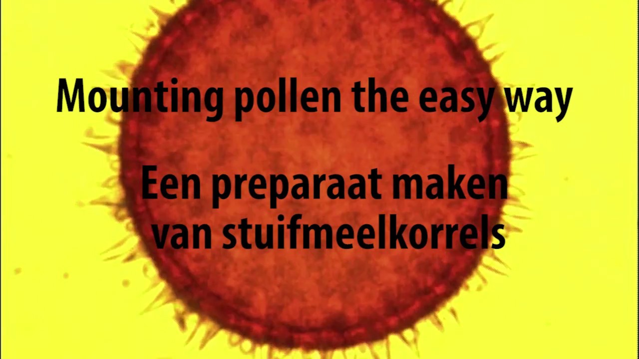 Pollen mounting