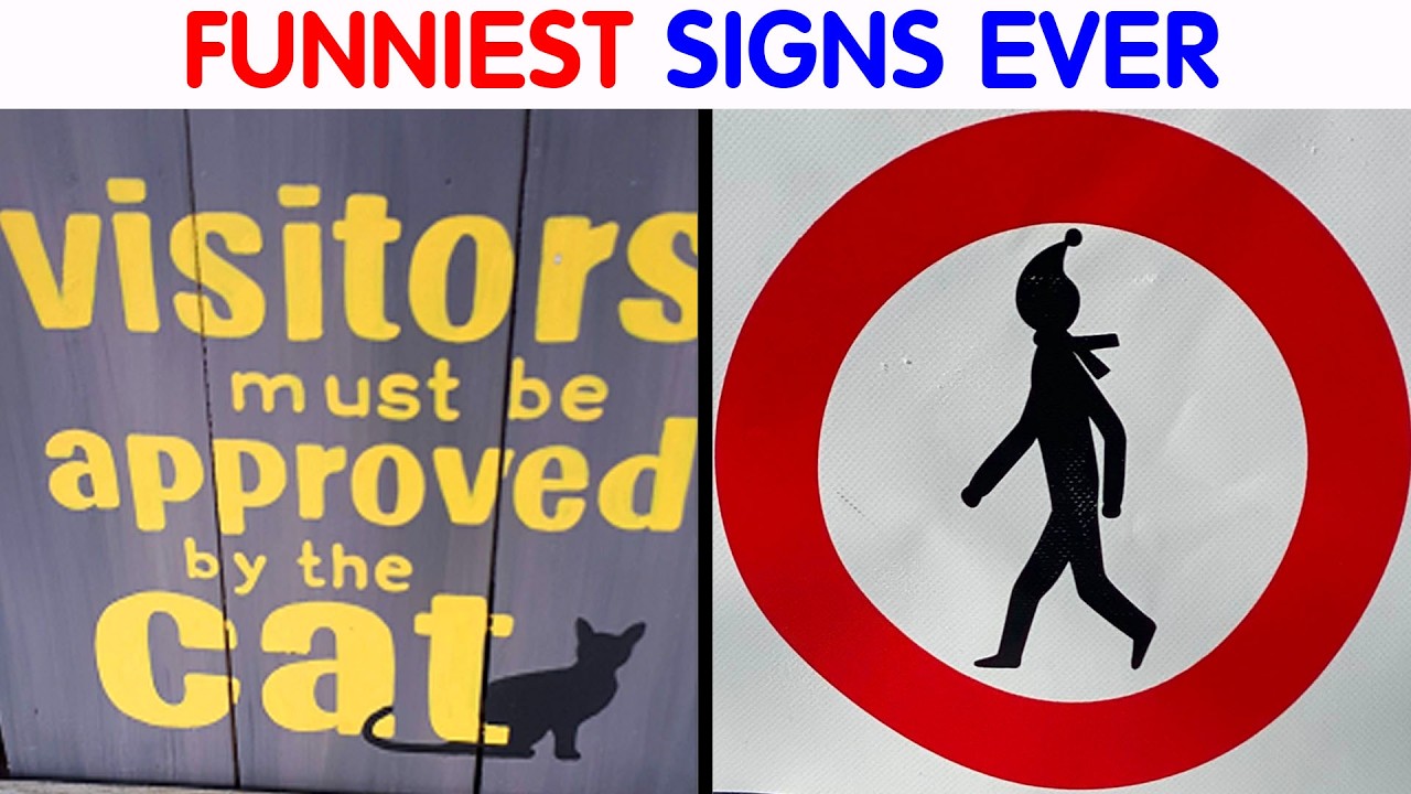 Absolutely Dumb Signs For Those In Need Of A Good Laugh || video compilation #63