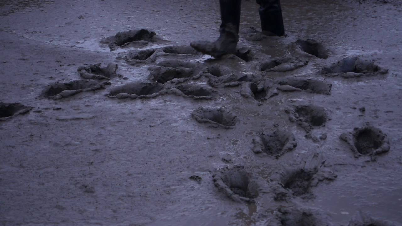 Quick splodge through mud in Hunter Coarsefisher waders 2/2