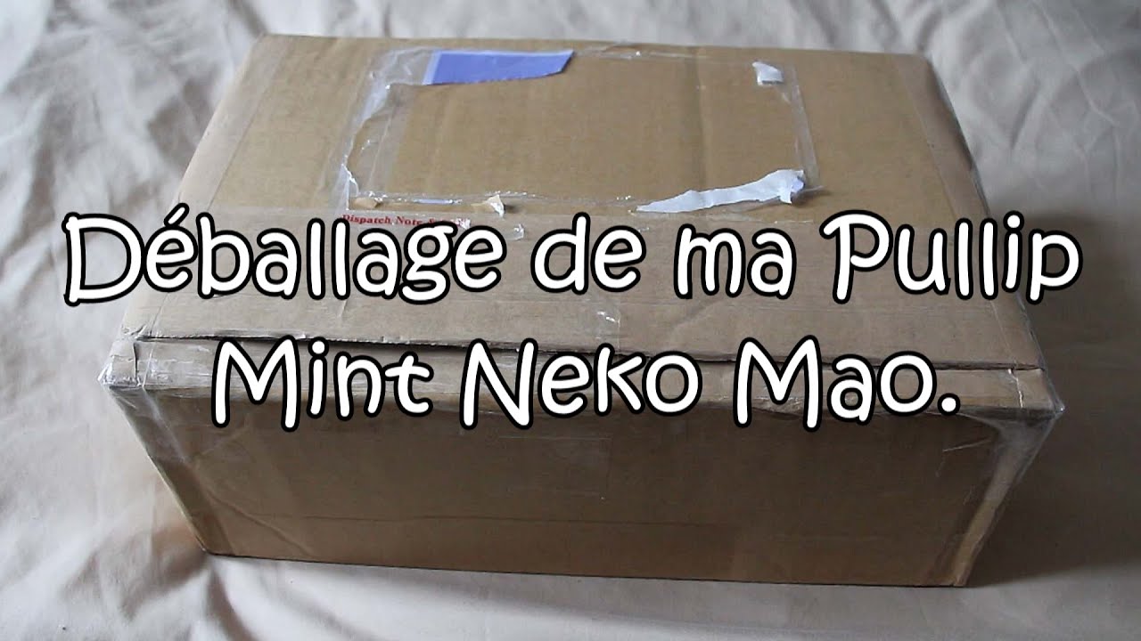 Déballage de ma Pullip Mint Neko Mao.