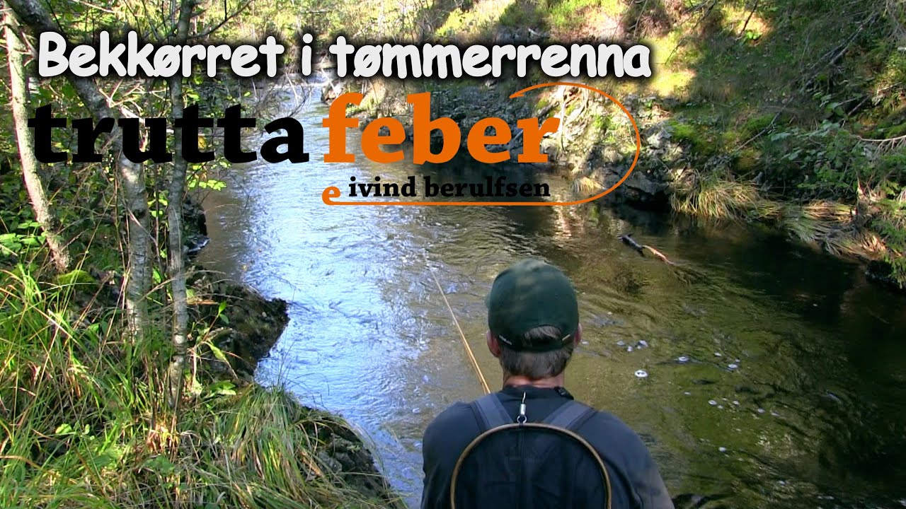 Truttafeber. Episode 4. Bekkørret i tømmerrenna. Med Eivind Berulfsen.
