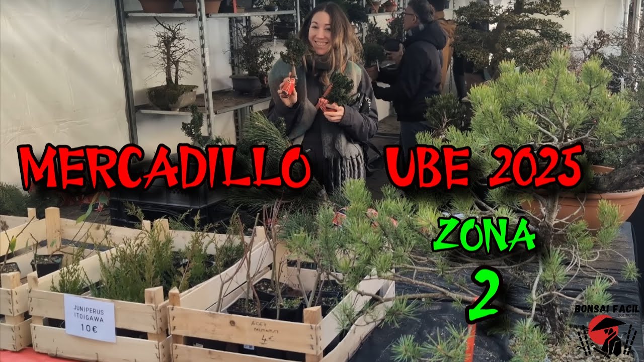 Mercadillo UBE 2025 Zona 2