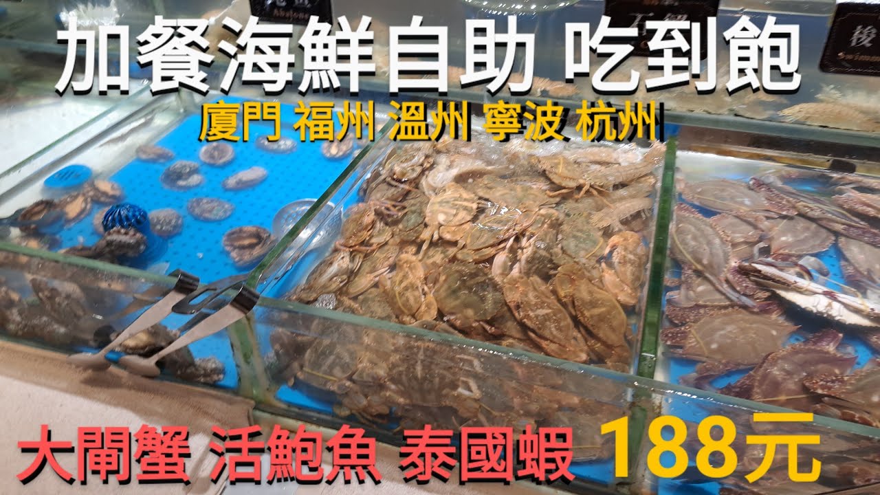 20241111 廈門福州溫州寧波杭州 加餐海鮮自助吃到飽連鎖餐廳海鲜自助小火鍋鍋 活體海鮮自煮吃到飽 紅酒白酒清酒啤酒飲料喝到飽  自助晚餐188元大閘蟹鮑魚泰國蝦皮皮蝦 吃到飽 牛肉火鍋吃到飽
