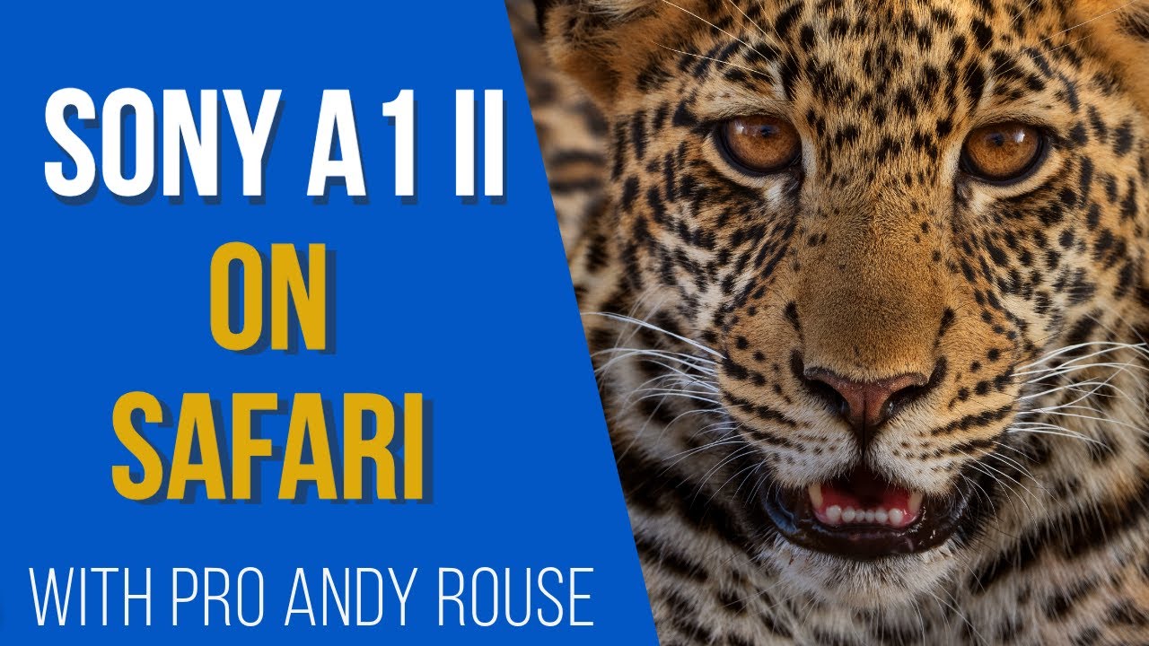Andy Rouse tries pre capture, speed boost and new Sony A1 Mk2 autofocus on safari, tips and tricks