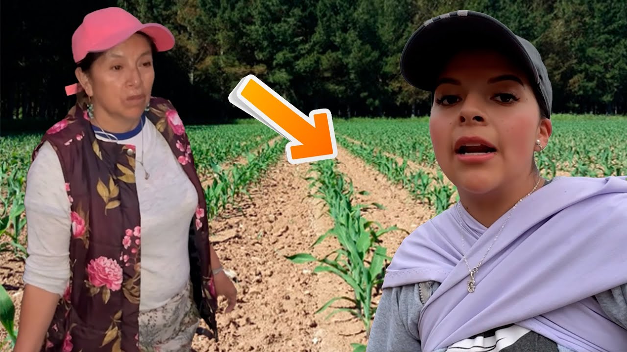 Esta es la forma como Gabytha Vlogs siembra el maíz