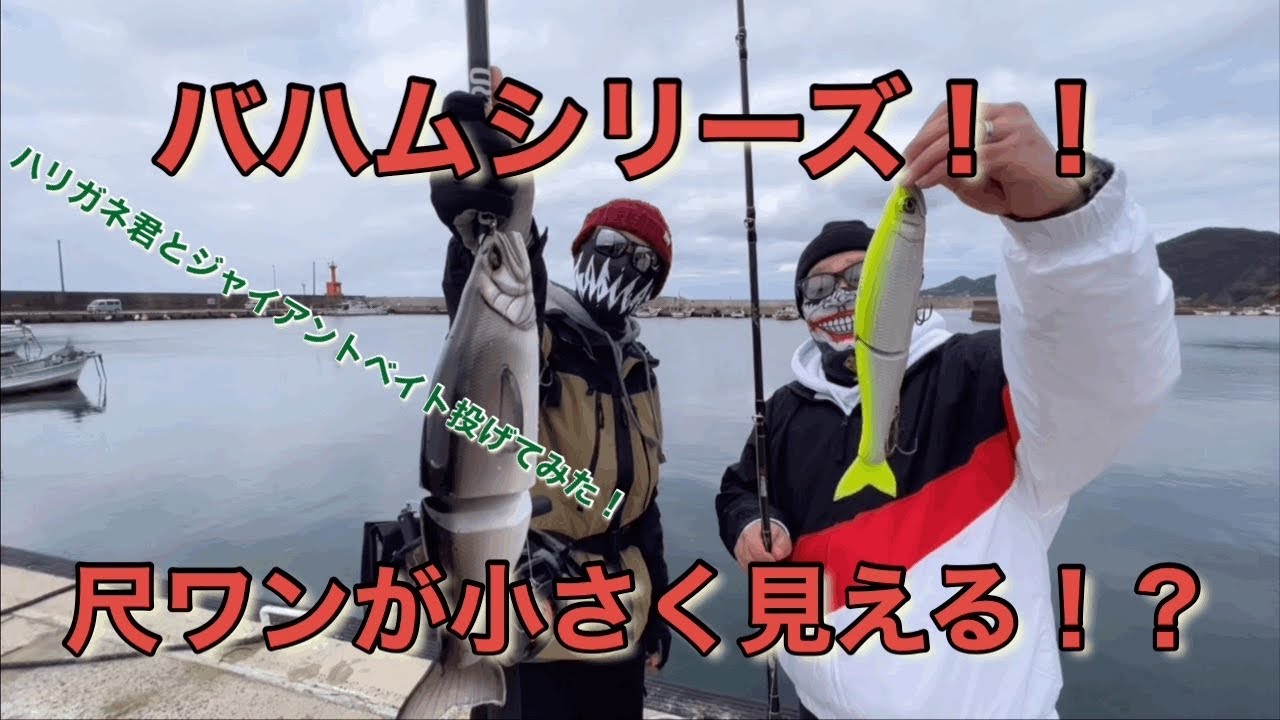 【バハムシリーズ】ハリガネ君の尺ワンとチャフのバハム400禁断のコラボ！！