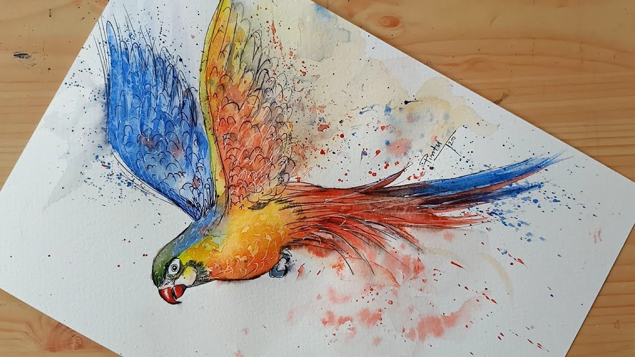 Tried Pen and Watercolour for the first time | Parrot