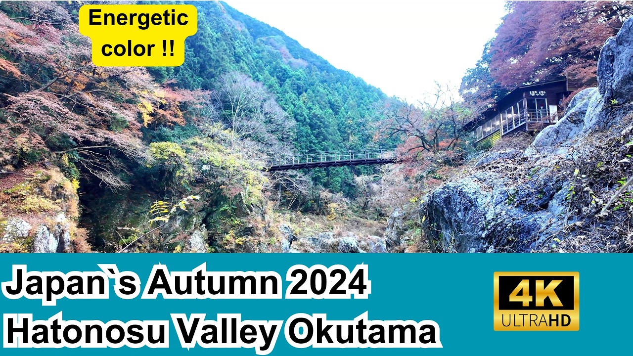 Japan's Autumn 2024 Hatonosu Valley Okutama Tokyo