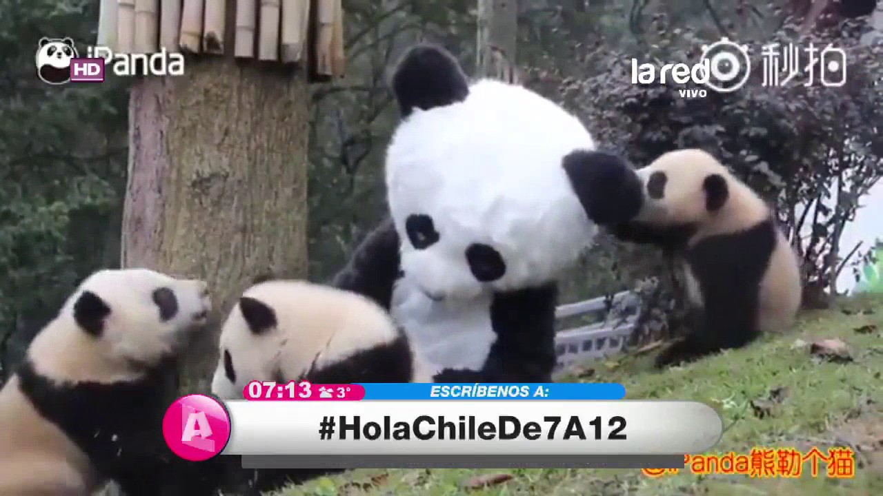 Hola Chile Programa Completo Viernes 28 de Julio 2017