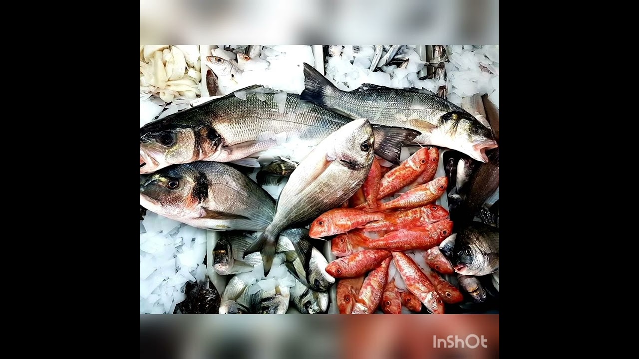 larache y su gente a lo largo de los tiempos