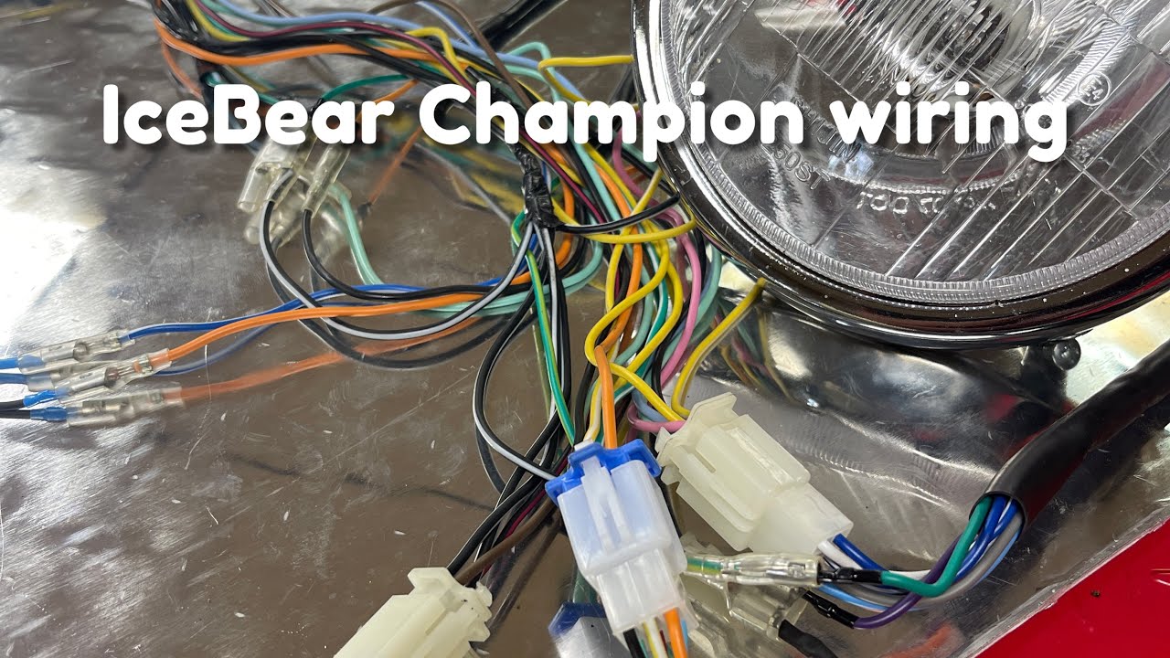 Icebear Champion 125cc - жгут проводов