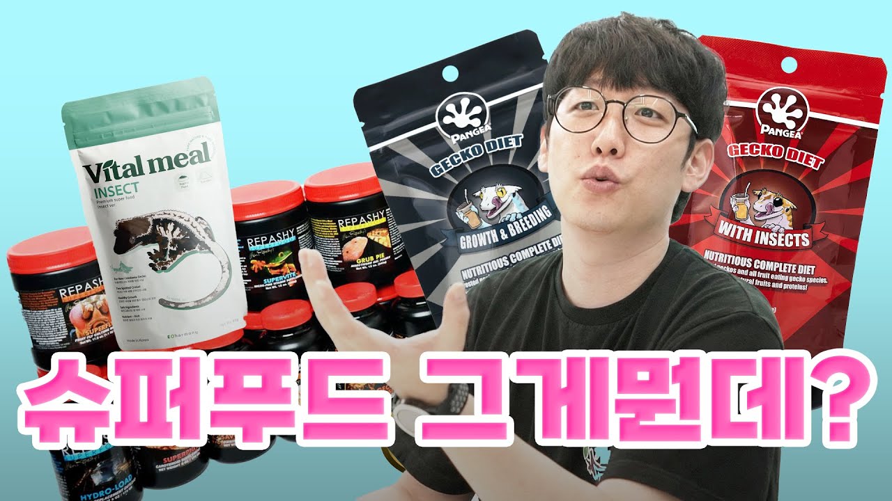 슈퍼푸드 만들기와 급여 하는 방법