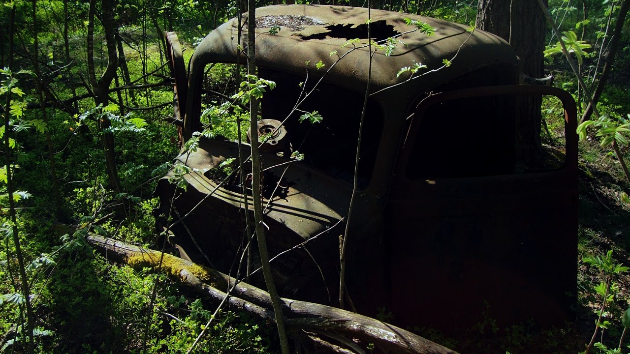 Forest Find: Truck Cab & Surprise Barn Find