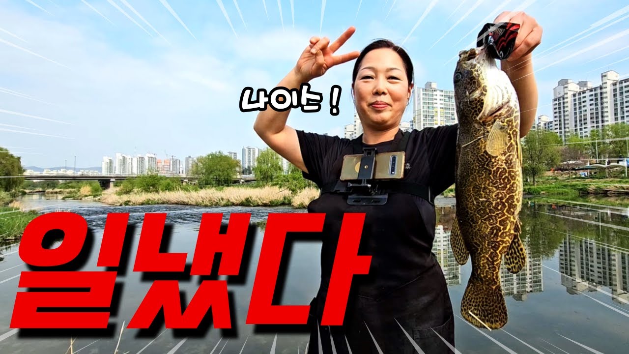 도심속 배스낚시,,, 잠깐,, 쏘가리? 니가 왜 거기서 나오니...?