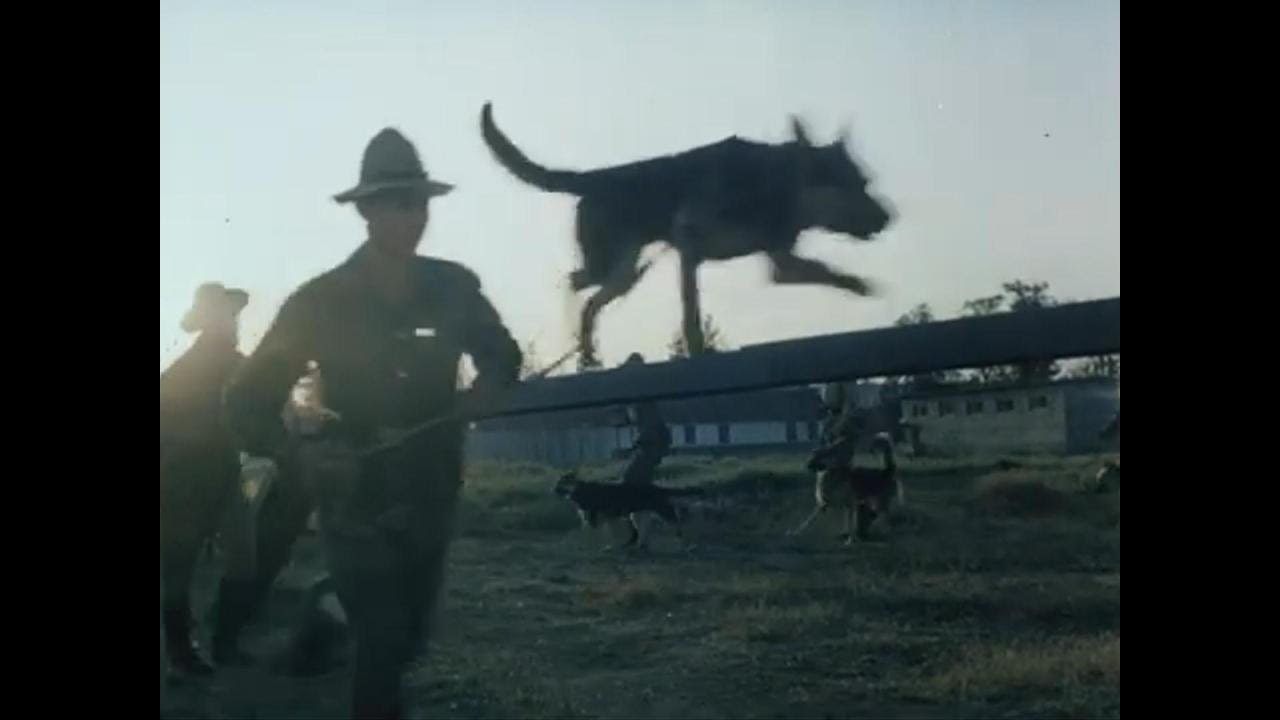 Border Work (Semyon Dyukov &ndash; Spy Mania)