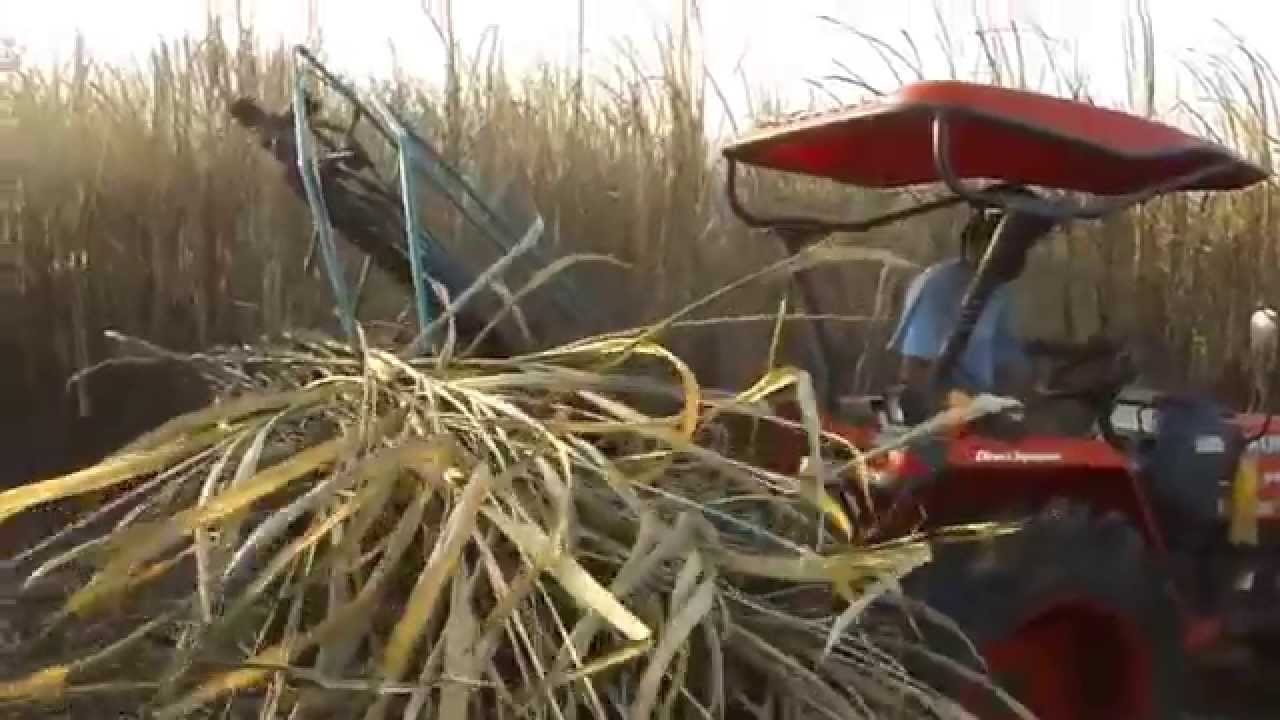 Sugarcane Harvester (NPT555)