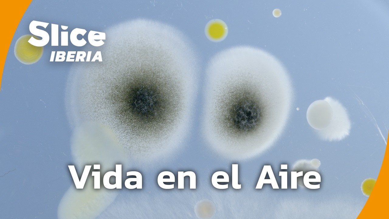 Plankton Aéreo: La Vida Invisible que Respiramos | SLICE Iberia | DOCUMENTAL COMPLETO